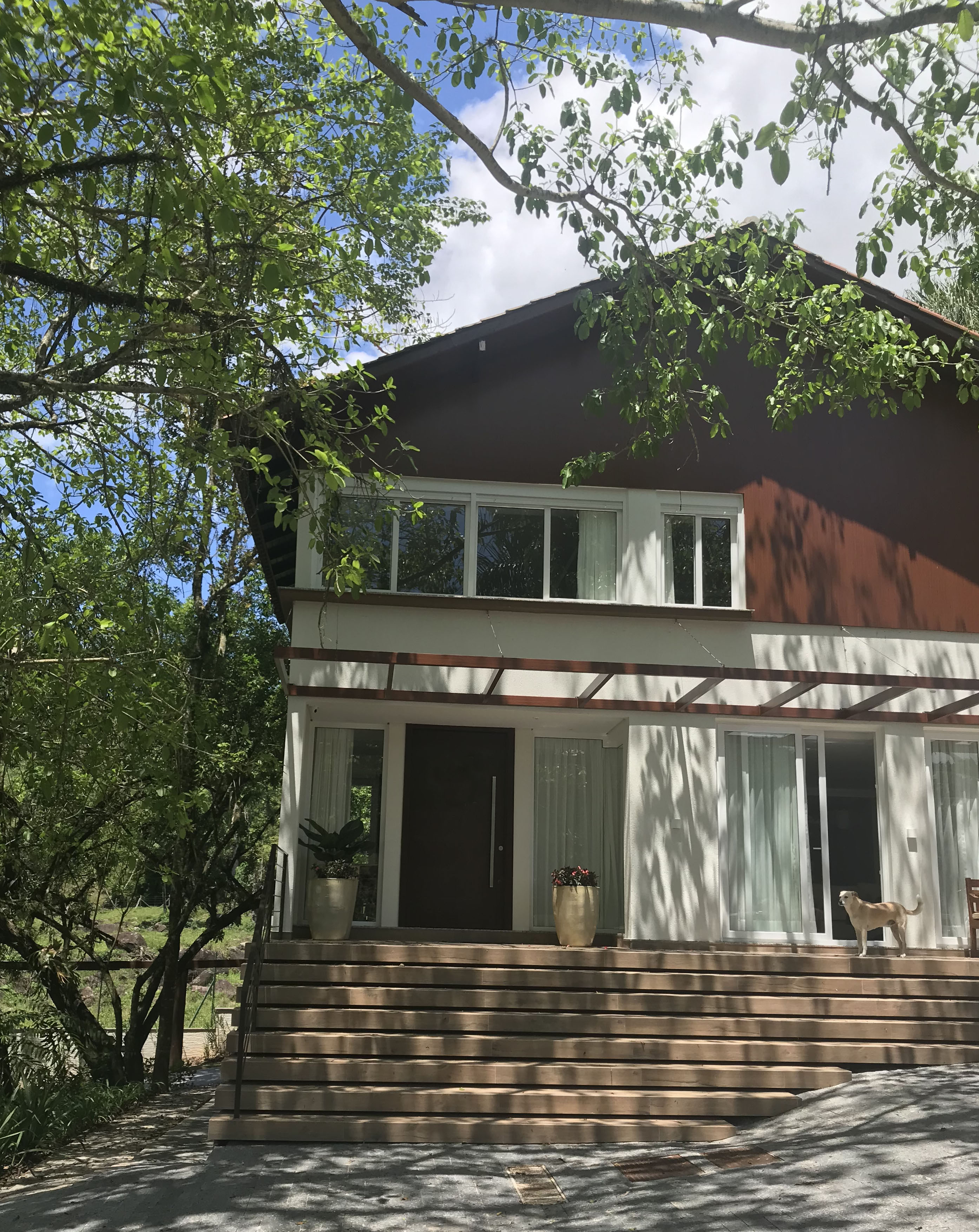 IMG_9216 - cópia.jpg