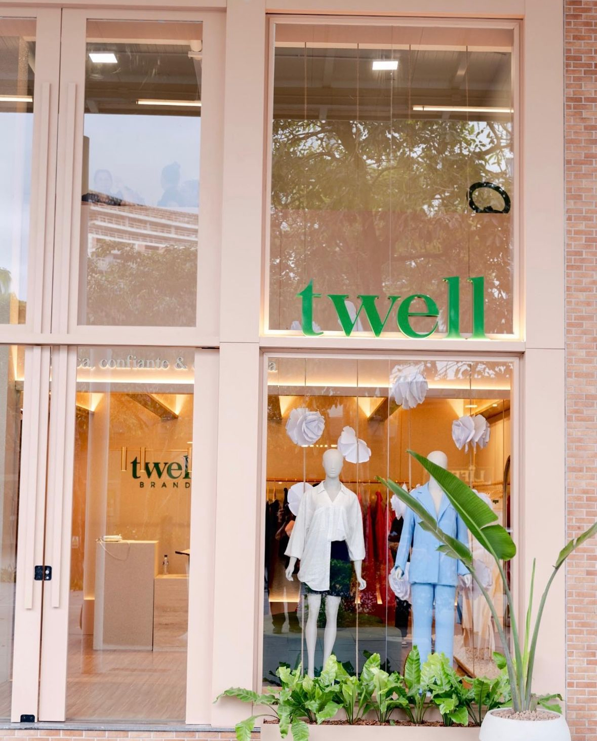 Foto 24-11-2024, 08 07 37 (1).jpg