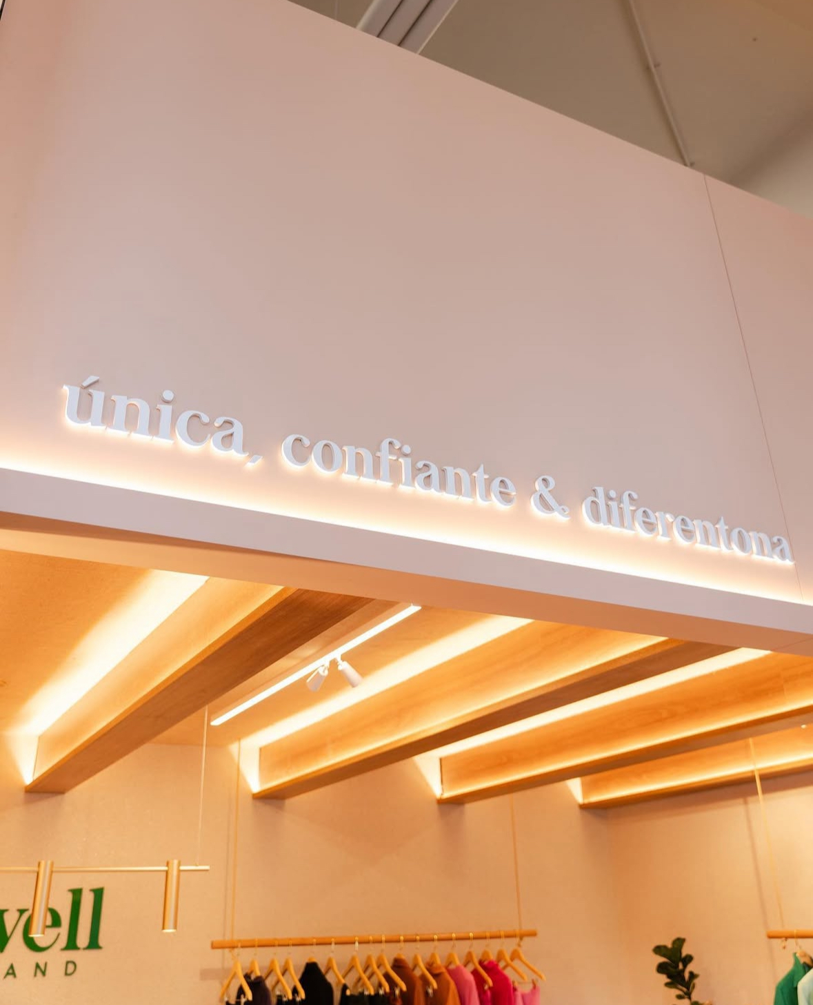 Foto 24-11-2024, 08 07 37 (2).jpg